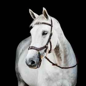 Meilleurs prix pour Horseware Micklem II Multi Bridle - Taille Warmblut - Marron