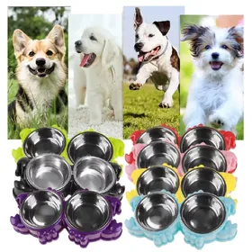 Meilleurs prix pour Bol à boire en acier inoxydable pour animaux