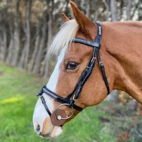 Comparer les prix de Bridons pour cheval muserolle combinée avec noseband amovible Cavaletti Goldy