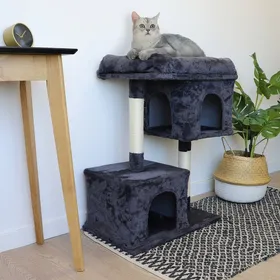 Comparer les prix de Petit arbre à chat avec 2 niches - 85 cm - Zolia Oliver - 60x36x85cm