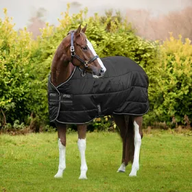 Comparer les prix de Horseware Amigo Diamond Insulator 100g