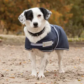 Meilleurs prix pour Waldhausen Couverture pour chiens Comfort Line 200g
