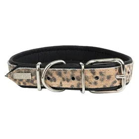 Meilleurs prix pour Barry King Obroża dla psa, CHEETAH, 30mm/65cm (Chien), Collier + laisse