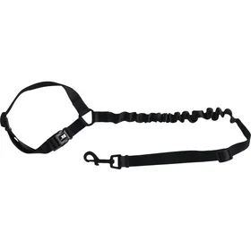 Comparer les prix de Laisse de sécurité Anti Choc pour chien - M - 2.5cm - jusqu'à 30kg