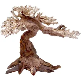 Meilleurs prix pour Décoration daquarium - AMTRA - Oriental Wind 5 - Bois naturel - Fait main - Style bonsaï 30x10x20 cm