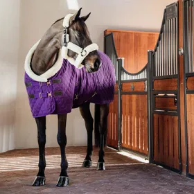 Comparer les prix de Kentucky Horsewear Show Rug 160g