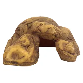 Meilleurs prix pour EXO TERRA Cachette naturelle XL - Pour reptiles