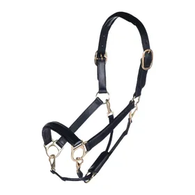 Comparer les prix de Licol pour cheval cuir HKM