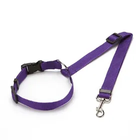 Meilleurs prix pour Ceinture de sécurité pour animaux de compagnie, couleur unie, 2 en 1, en nylon, laisse, ceinture de sécurité pour siège arrière, harnais réglable pour chien, collier, accessoires pour animaux de compagnie