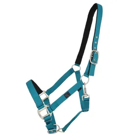 Meilleurs prix pour Licol pour cheval avec doublures QHP