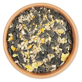 Comparer les prix de Mélange haute énergie (2.5kg) | Mélanges de graines | Graines de tournesol | Maïs moulu | Nourriture Pour Oiseaux | Vivara