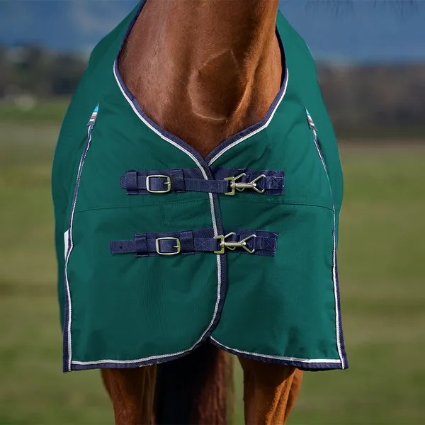Couverture d'extérieur pour cheval Weatherbeeta Comfitec Plus Dynamic 100g – photo 3