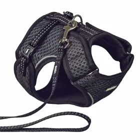 Meilleurs prix pour Harnais et laisse pour chat Nobby Pet Flap