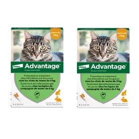 Meilleurs prix pour 10 pipettes Ad-vantage 40 pour chat et lapin de moins de 4 kg