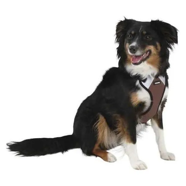 Kerbl Pulsifier, Collier pour animaux – photo 2