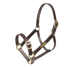 Meilleurs prix pour Licol entièrement réglable en cuir pour cheval Velociti Gara