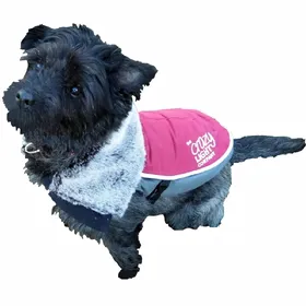 Comparer les prix de Rosewood Veste à LED pour chien - Taille 15