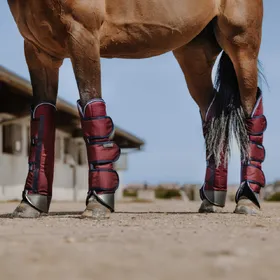 Comparer les prix de Guêtres de transport pour cheval renforcées Equithème Tyrex 1200D