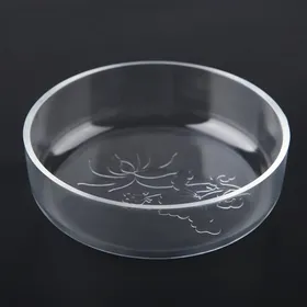 Meilleurs prix pour SURENHAP Plat d'alimentation pour crevettes Plateau d'alimentation en acrylique pour crevettes d'aquarium Bol animalerie d'aliment