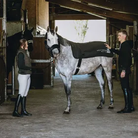 Comparer les prix de Chauffe dos pour cheval Equithème