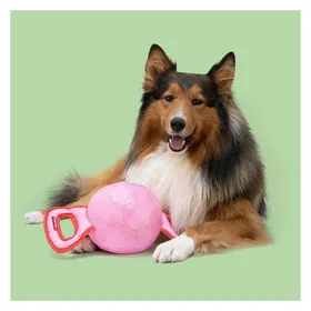 Comparer les prix de Jouet pour chien à tirer Coockoo Power Pully