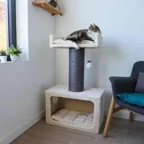 Meilleurs prix pour Arbre à chat XXL - 103cm - Zolia Luny - 60x35x103cm - Ø poteau 18cm