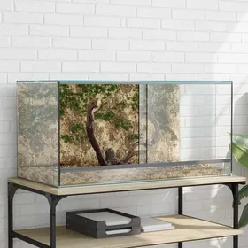Meilleurs prix pour Transparent Articlespour animaux -  Terrarium avec stockage Transparent 80x40x40 cm Verre C34426