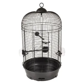 Comparer les prix de Cage perruche SANNA II. noir ø 34 x 67 cm. - Flamingo Pet Products - FL-110114