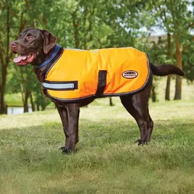 Comparer les prix de Weatherbeeta - Parka réfléchissante (25cm) (Orange) - UTWB315