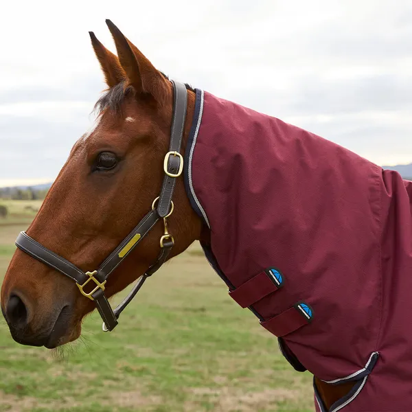 Couverture d'extérieur pour cheval Weatherbeeta Comfitec Prelim Combo 220g – photo 4
