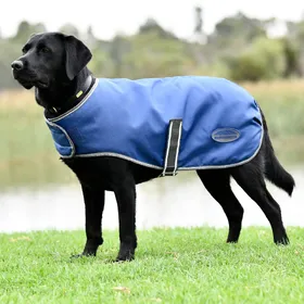 Meilleurs prix pour Weatherbeeta Comfitec Windbreaker Free Manteau pour chien