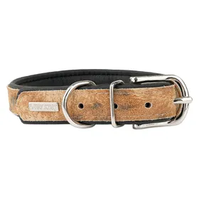 Comparer les prix de Barry King Obroża dla psa, LION, 20mm /50cm (Chien), Collier + laisse