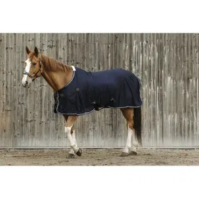 Meilleurs prix pour Chemise séchante pour cheval Equithème