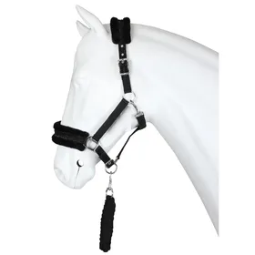 Comparer les prix de Ensemble licol pour cheval Horka Angel