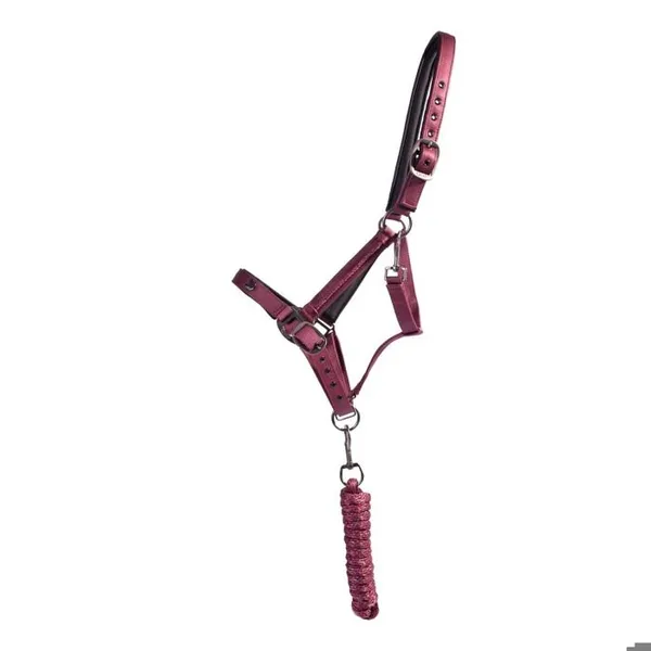 Ensemble licol et longe pour cheval QHP Lily – photo 2