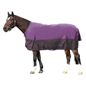 Meilleurs prix pour Couverture d'extérieur pour cheval HKM Sacramento 600D 300g