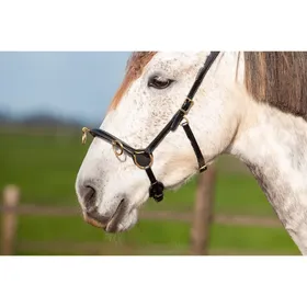 Comparer les prix de Caveçon pour cheval Edix Saddles ED5