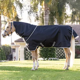 Comparer les prix de Horseware Amigo 1200D Plus Pony Turnout 50g - Taille 75 - Noir