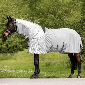 Meilleurs prix pour Couverture anti-mouches pour cheval et anti-eczéma Waldhausen Protect - 125 cm