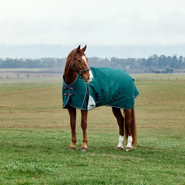 Couverture d'extérieur pour cheval col haut Weatherbeeta Comfitec Plus Dynamic 220g – photo 2