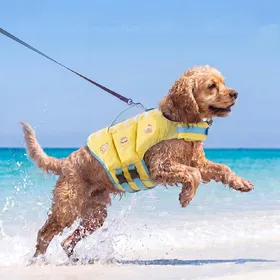 Comparer les prix de Gilet de sauvetage imperméable pour chien Respirant Réglable Gilet de sauvetage pour animal de compagnie Flottabilité élevée Coussinet en éponge épais Gilets de sécurité pour chiots Natation (Yellow,M) jaune