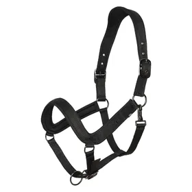 Meilleurs prix pour Licol pour cheval HV Polo Essential