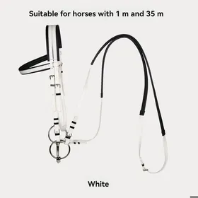 Comparer les prix de Ensemble fournitures équestres - Phoesky - PVC Nylon - Rênes deau - Bouche cheval mâcher - Western circonférence