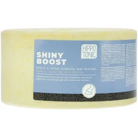 Comparer les prix de Pierre à sel cheval Hippotonic Shiny boost