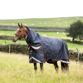 Comparer les prix de Couverture d'extérieur pour cheval LeMieux Kudos Thermo Pro 300g