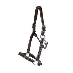 Comparer les prix de Licol tressé cuir pour cheval Dyon