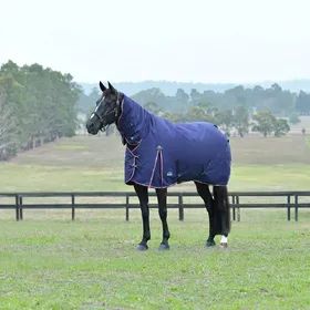 Meilleurs prix pour Weatherbeeta Comfitec Essential Turnout Combo 50g - Taille 135 - Bleu
