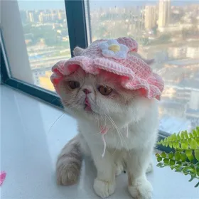 Meilleurs prix pour Chapeau élastique pour chat, mignon et raffiné, tricoté, pour chiots, chatons, fête, séance photo, accessoires de décoration pour chat, printemps et été S gray