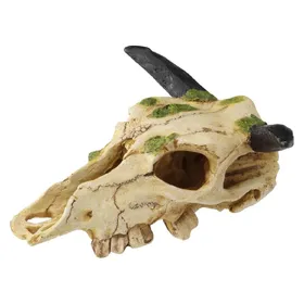 Meilleurs prix pour EBI Terra Della Carabao Skull S, Amnagement pour terrarium