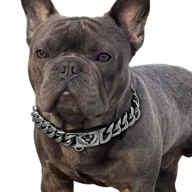 Comparer les prix de Collier pour chien en or 18 carats, chaîne à maillons cubains en acier inoxydable, collier pour animaux de compagnie en métal de 14 mm de large pour collier pour chien de petite, moyenne et grande taille 18inch(45cm)